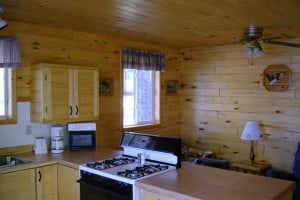 Cabin #4 - Kitchen & Living Area